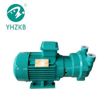 1.1 kW Liquid Ring Vacuum Pump for Capsule Filling and Sealing Equipment