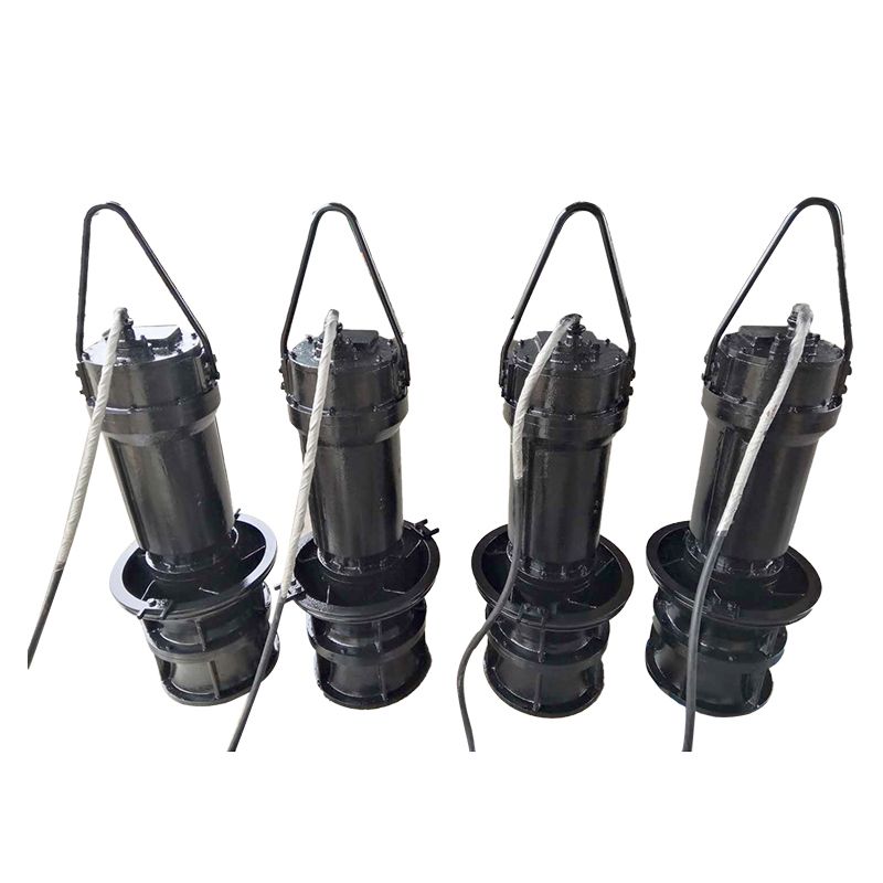 Customized Vertical Submersible Axial Flow Pump