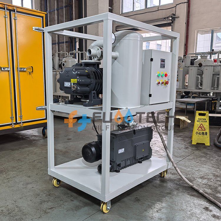 FTVS Double-Stage Vacuum Pump Set with Flow Rate of 30-1200L/S