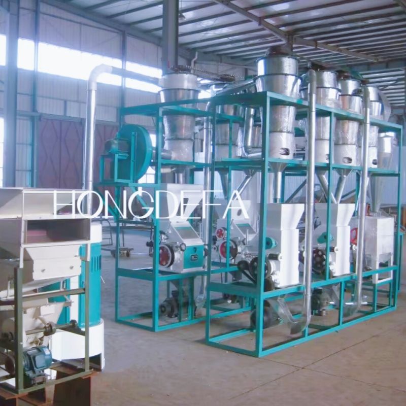 2024 New 10tpd Wheat Milling Machine for Africa