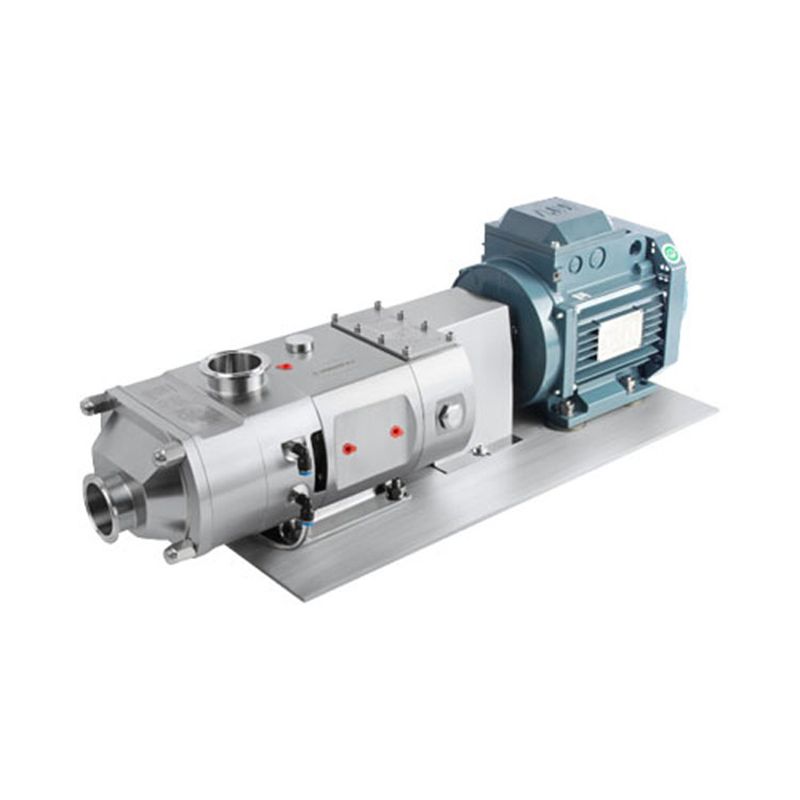 3A Certified Twin Screw Pump for Food Processing