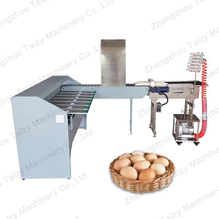Commercial Egg Size Sorting and Grading Machine