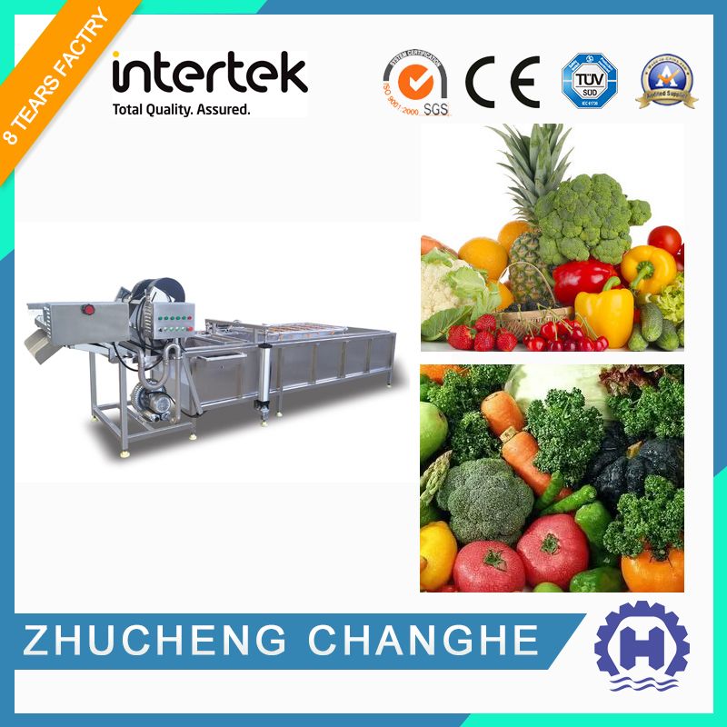 Commercial Vegetable and Fruit Bubble Cleaning Machine