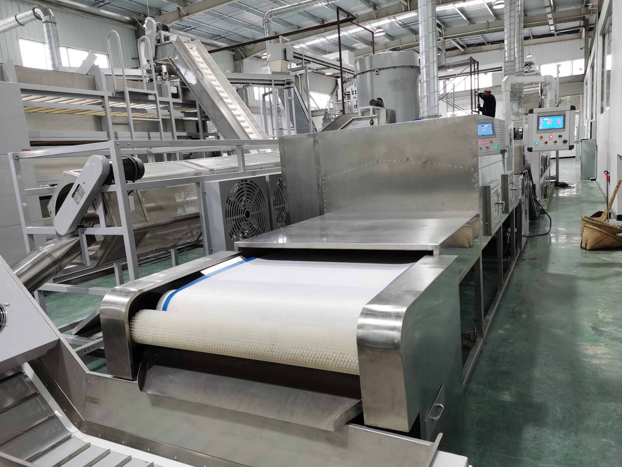 Microwave Melon Seed Sterilization Equipment