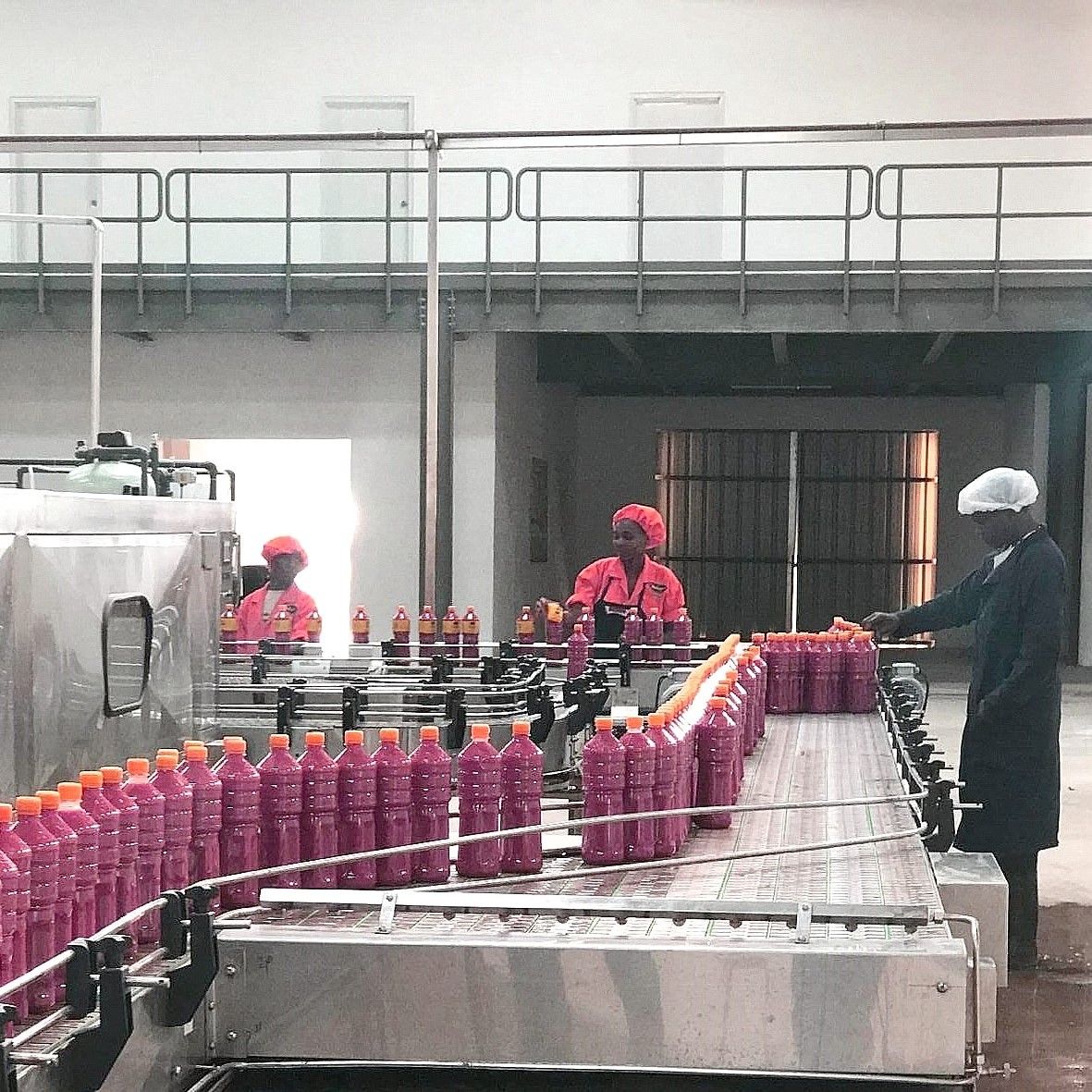 Small-scale Tomato Processing Equipment for Making Tomato Sauce