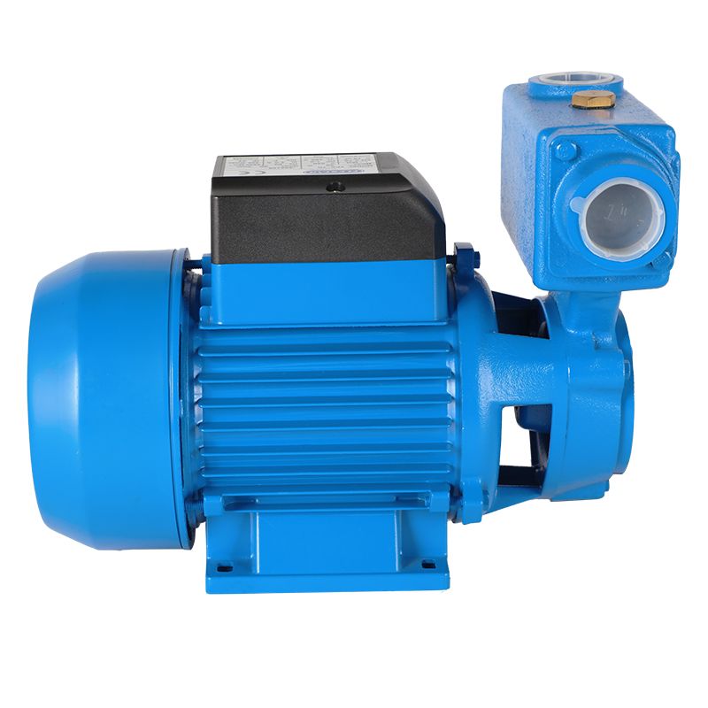 0.5HP TPS-60 High Suction Electric Water Pump Set - Popular in China