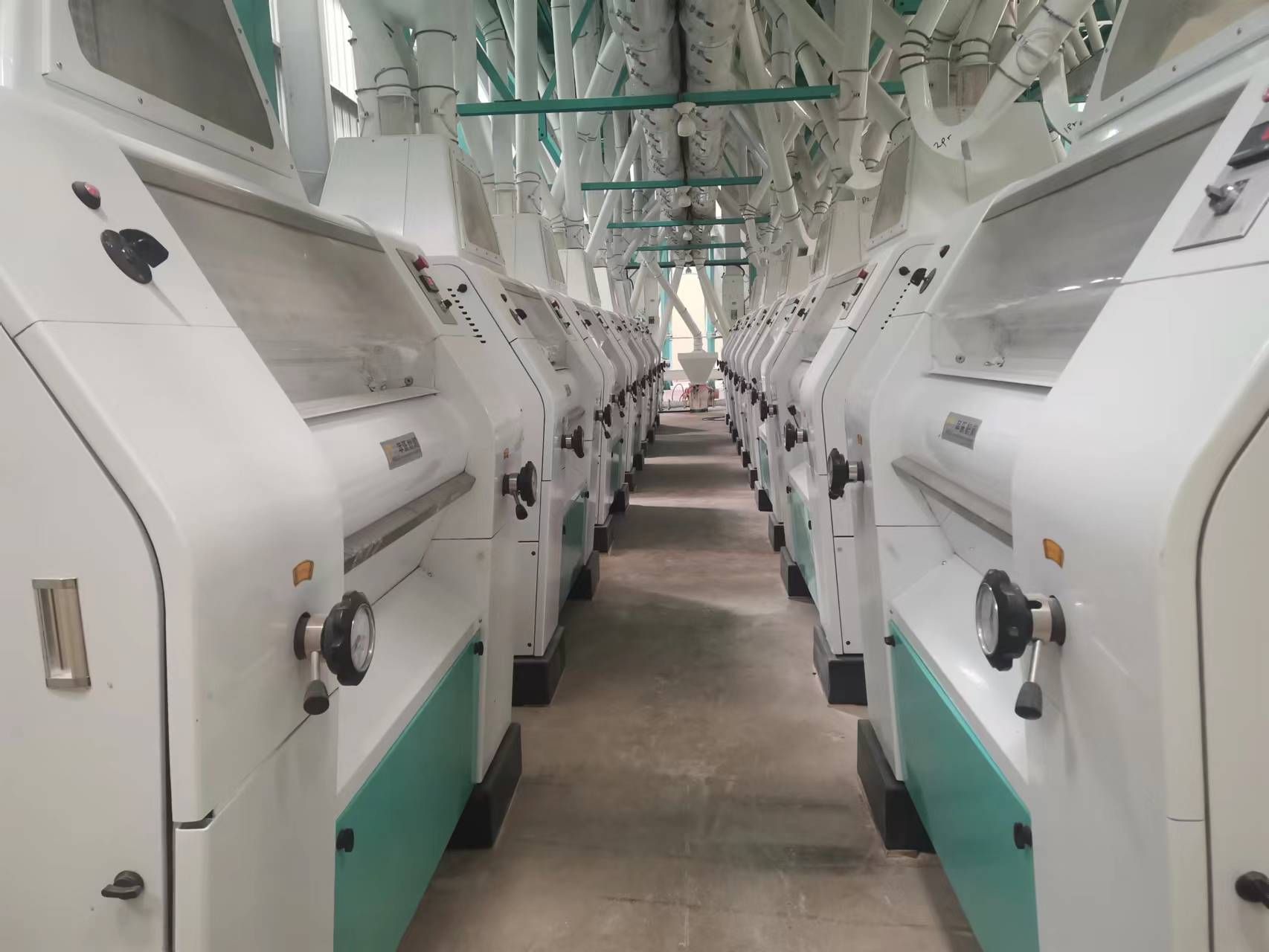 200t Maize Flour Producers / Automatic Wheat Flour Production Facility