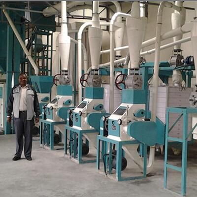 20t High-Quality Maize Flour Mill for Africa