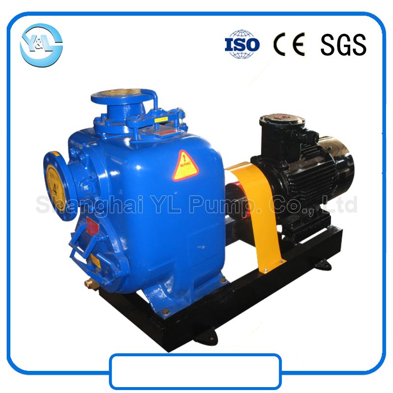 JT Series Self-Priming Electric Water Pump for Irrigation