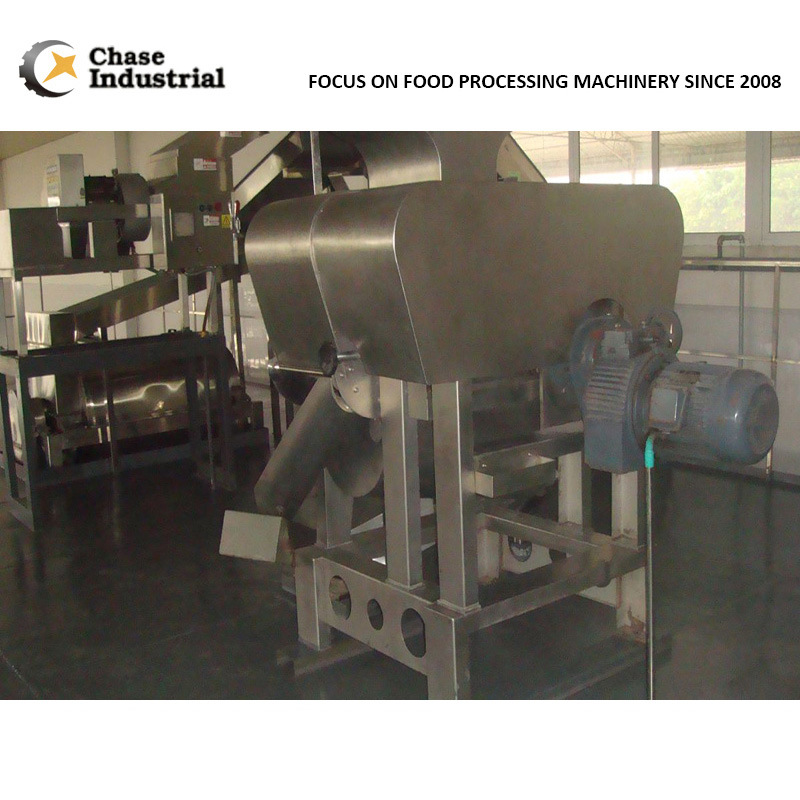 Large-Scale Pineapple Sauce Production Facility