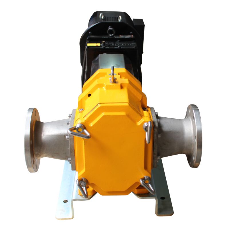 Lobe Pumps for the Chemical and Food Industries & Hygiene Applications