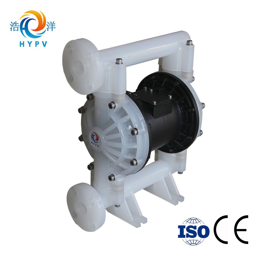 1-Inch Chinese Chemical Diaphragm Liquid Metering Pump