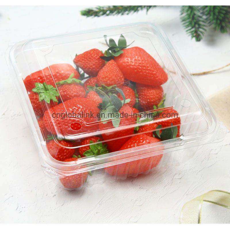 1000g Vacuum-Formed Plastic Fruit Packaging