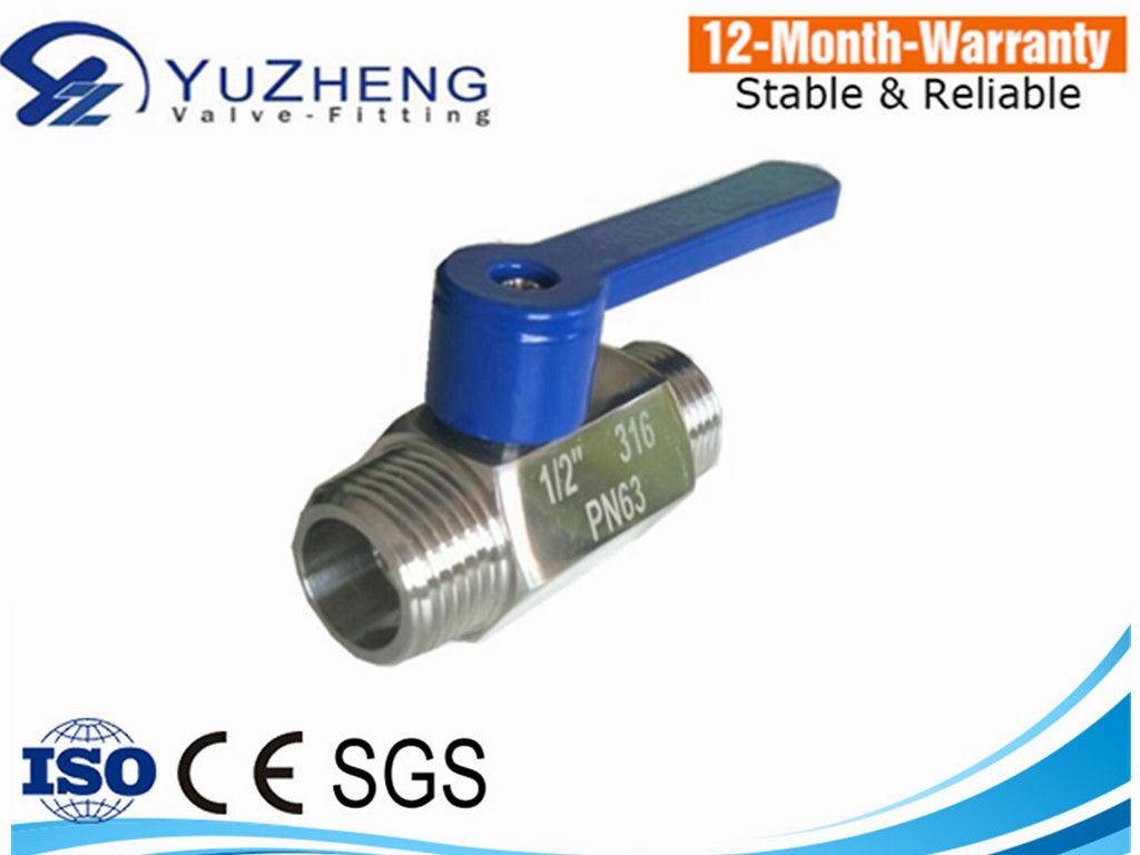1/2 Inch Mini Water Ball Valve with Stainless Steel 304 Female Threads