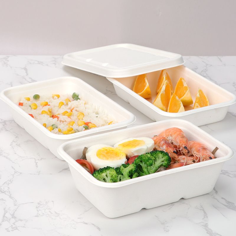 Bagasse Takeout Containers for Ready Meals - Rectangular Catering Boxes