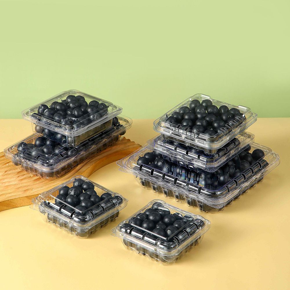 Eco-Friendly Clear PET Blister Packaging Box for Blueberries