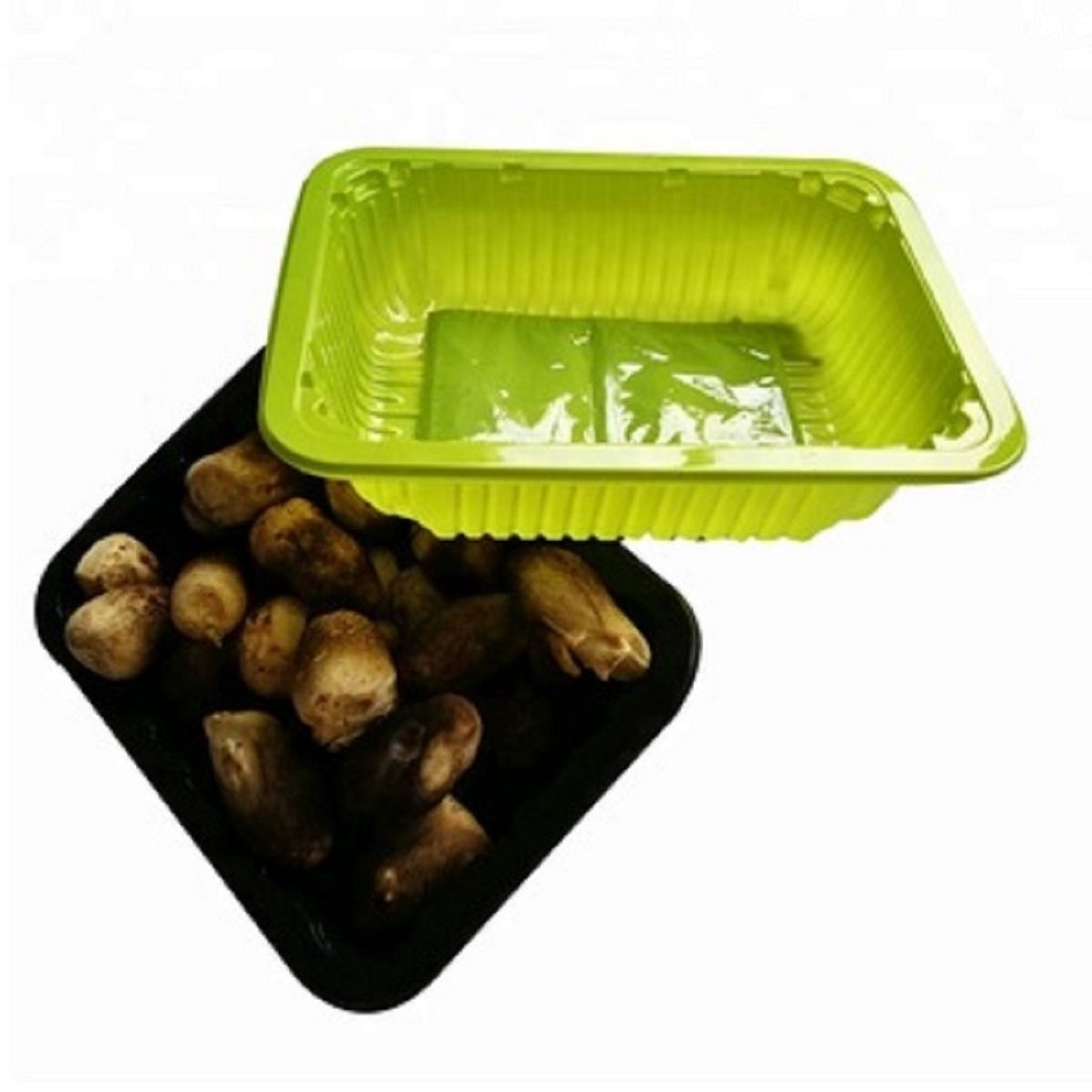 PP Plastic Fresh Fruit Serving Tray Packaging