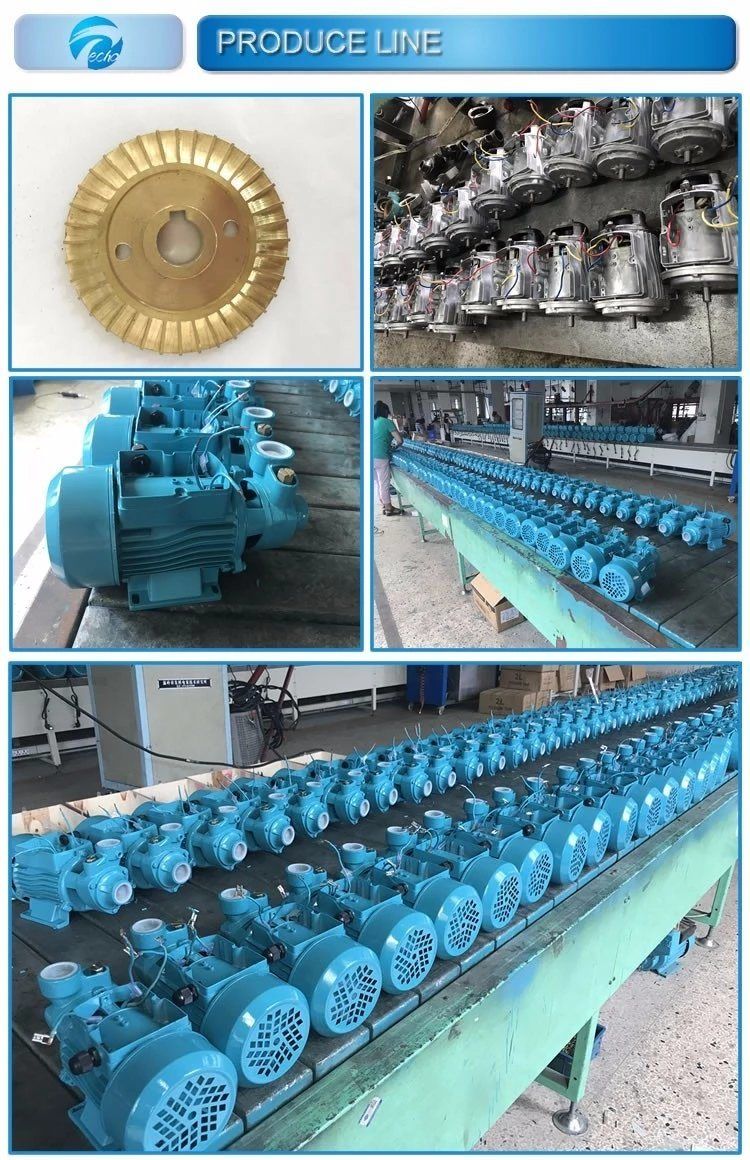 0.37kW 0.55HP Qb60 Vortex Pump Single Phase 220V