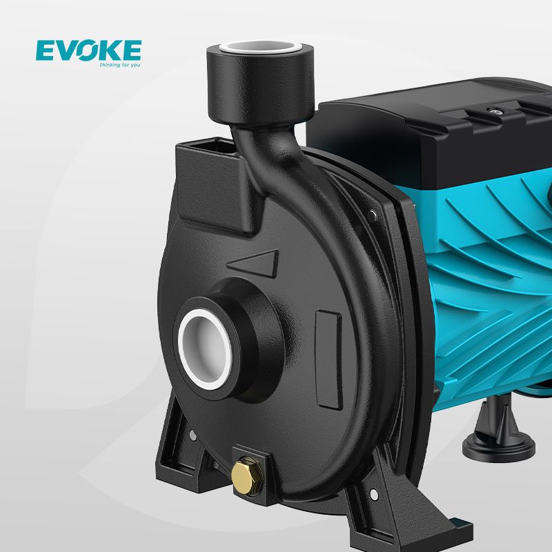 Evoke CPM Single Phase Clear Water Electric Cast Iron Residential Pump