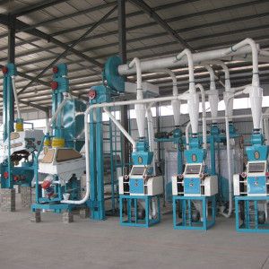 20-50 TPD Complete Maize/Corn Flour Milling Plant