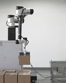 High-Speed Robot Stacker for Efficient Palletizing Solutions in Warehousing