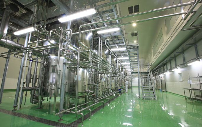 Lemon Processing Line: Machines for Juice and Oil Production