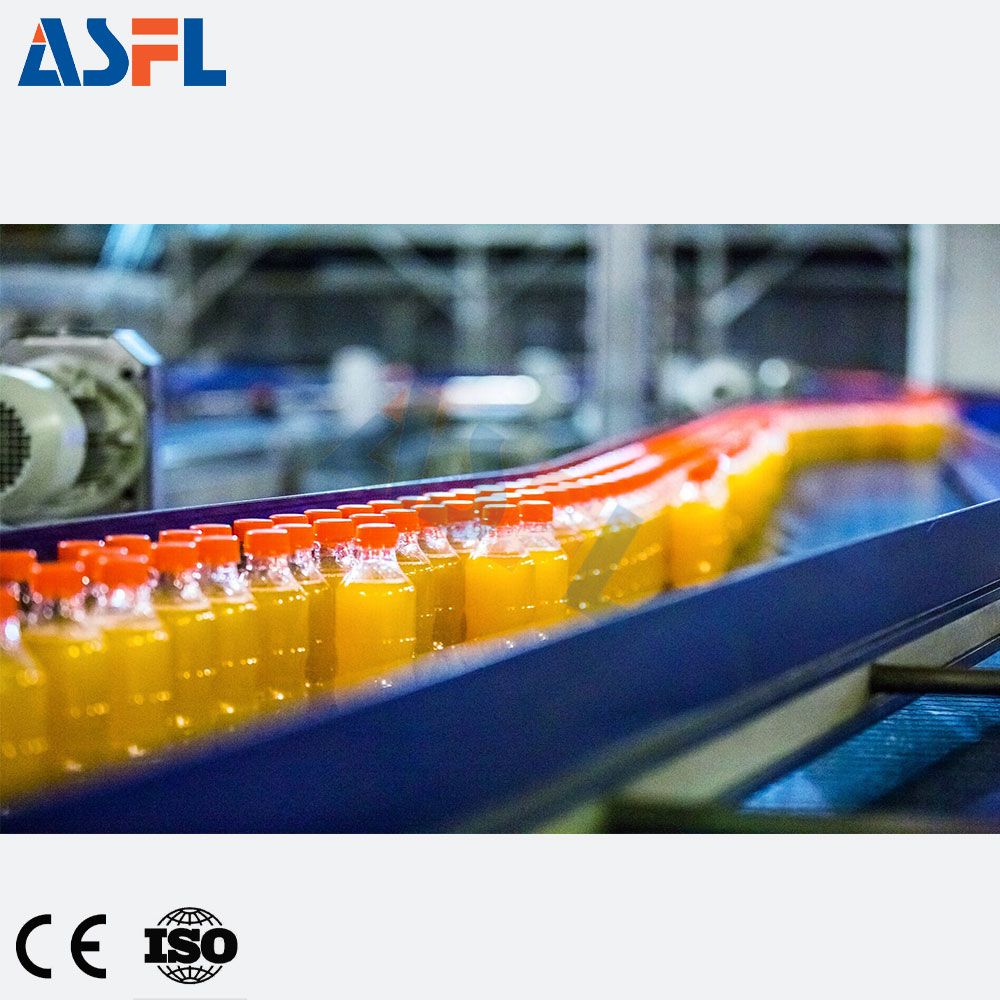2000 BPH Compact Complete Juice Filling Production Line for Fruit Juice