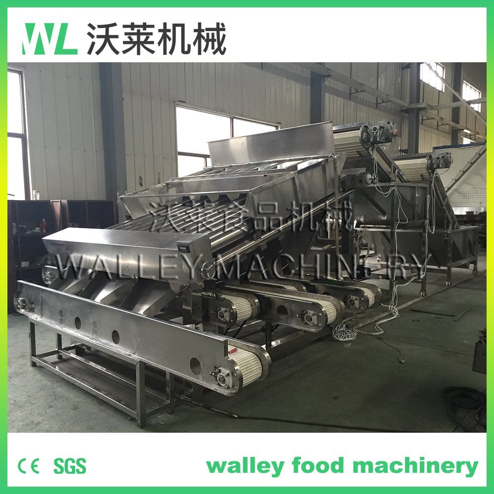 China Fish Roller Grader for Sardines