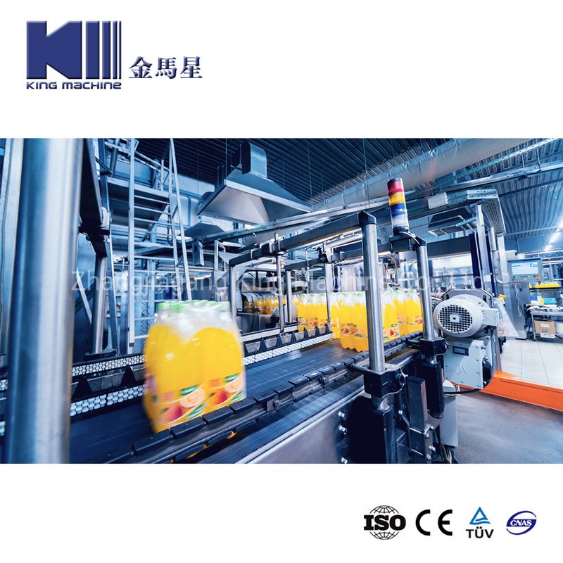 Mango Pulp Juice Bottling Equipment