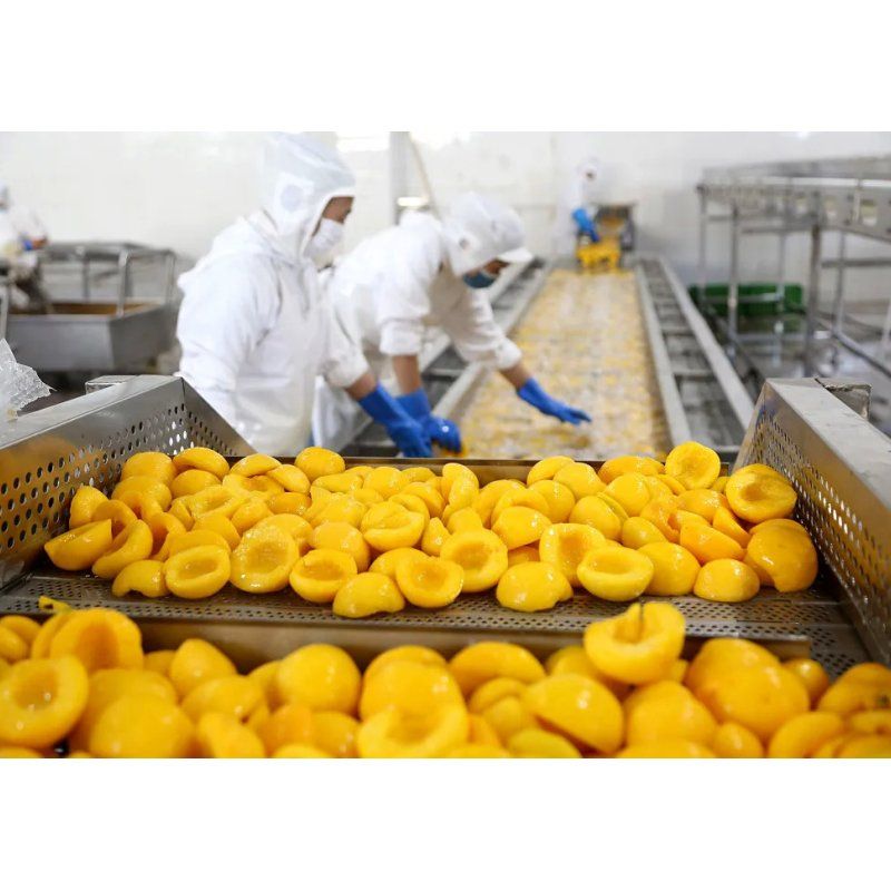 Newly Launched Canned Orange in Syrup Production Line