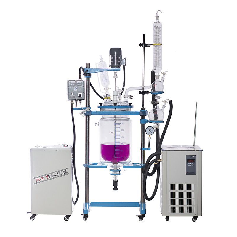 30L Glass Reactor with Packed Bed Stirring for Chemical Laboratories