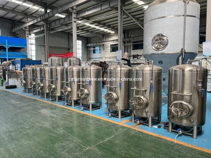 500-Liter Bright Beer Tank for Nano Brewery