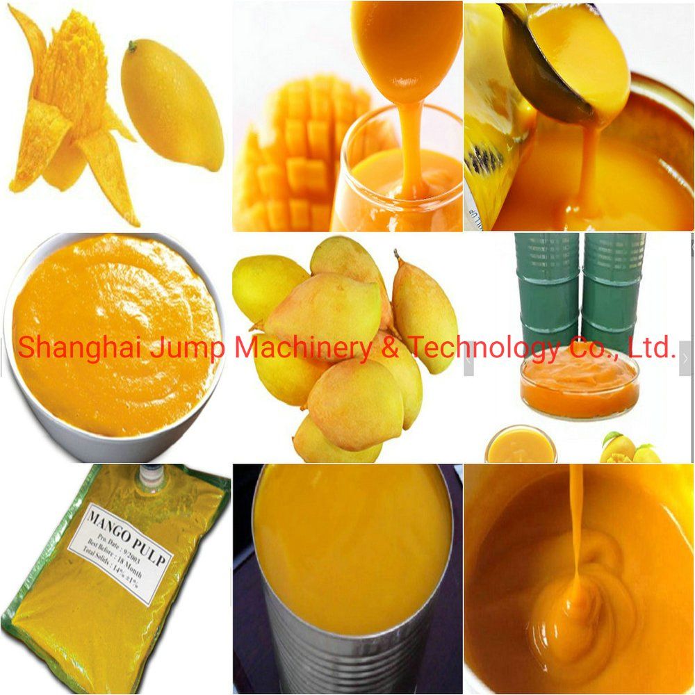 Mango Puree Manufacturing Line