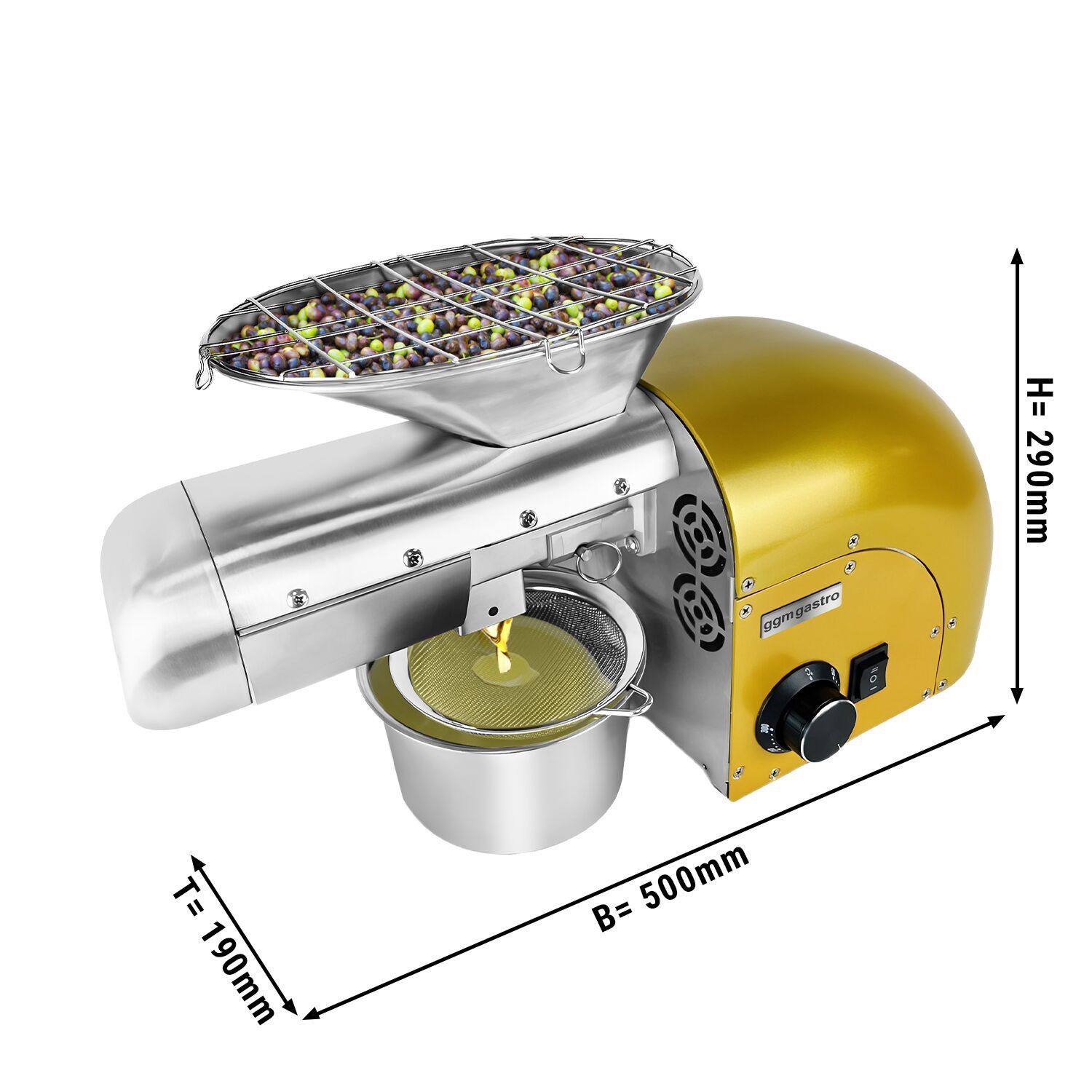 GGM Compact Cooking Oil Press Machine for Walnut Oil Production
