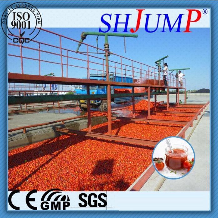 Tomato Paste Production Machine - Complete Turnkey Solution