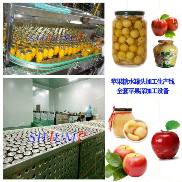 Automatic Apple Canning and Concentrated Juice Production Systems