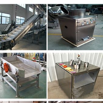 Modern Aloe Vera Juice Processing Line: Extracting and Filling Machines