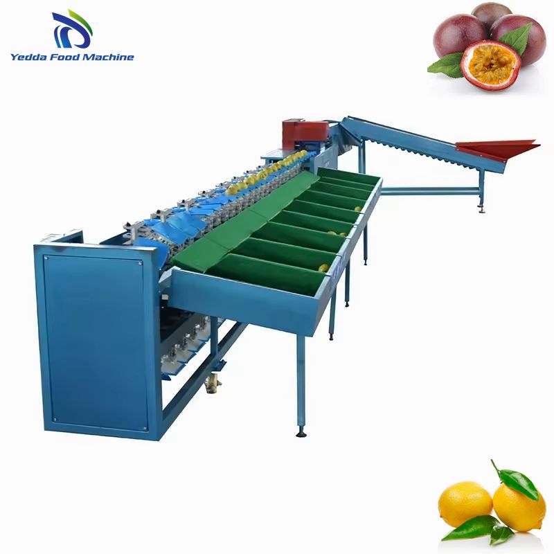 Automated Sorting System for Mangoes and Apples by Weight
