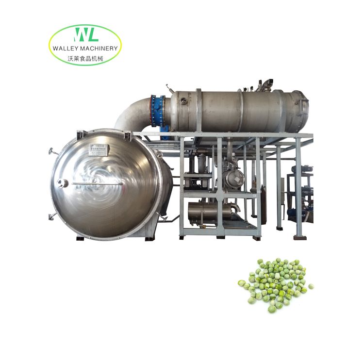 Industrial Vacuum Freeze Dryer for Sale
