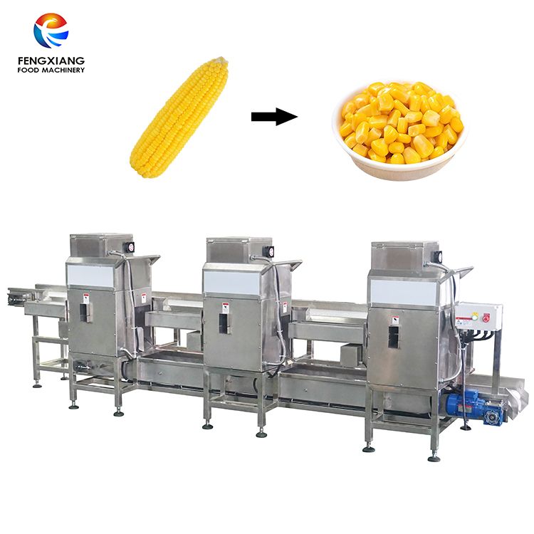 Automatic Corn Threshing Line with Frozen Maize Seeds Removal System