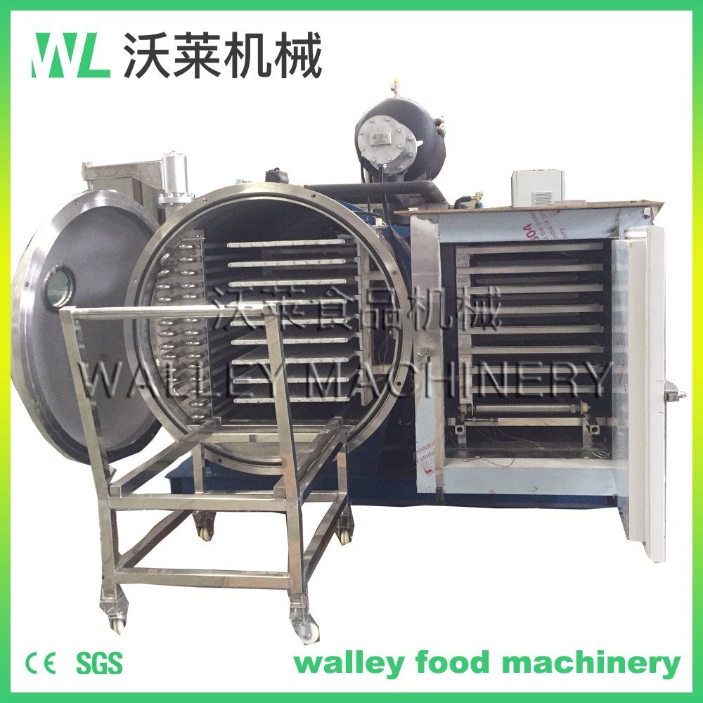 China Fruit Vacuum Freeze Dryer - Lyophilizer for Food Preservation