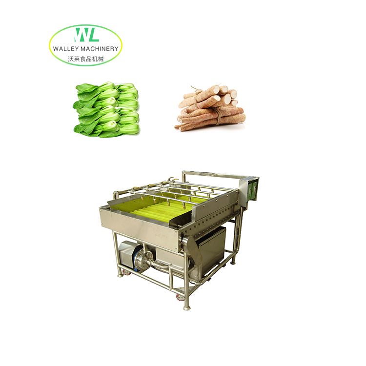 Customizable Fruit Hair Removal Brush Washing Machine for Chinese Yam