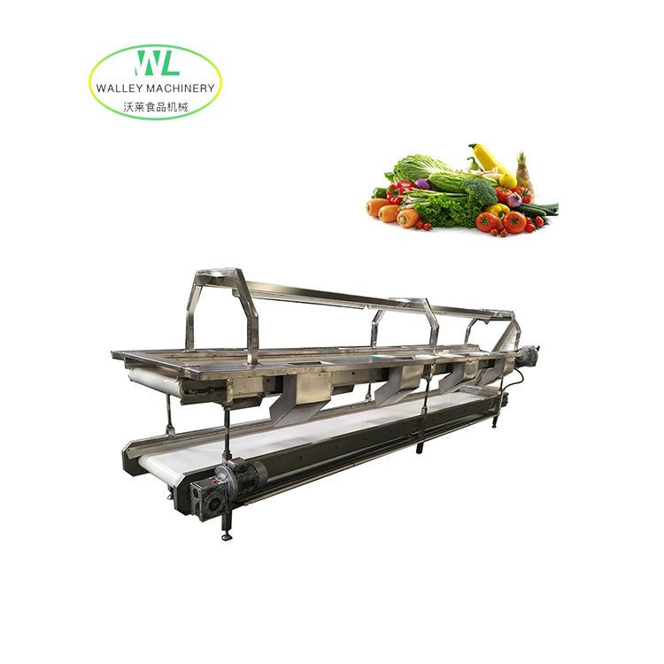 Customizing Double Layer Selection Table for Txj Sorting Conveyor