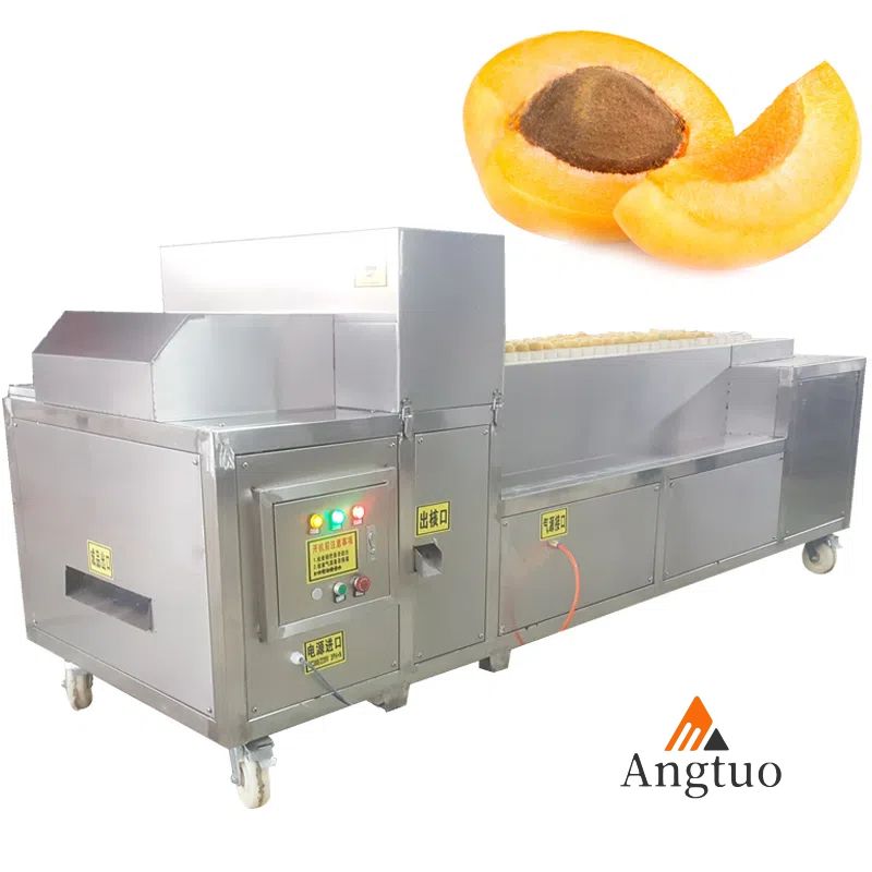 Hawthorn Fruit Pitting Machine with Core Extractor