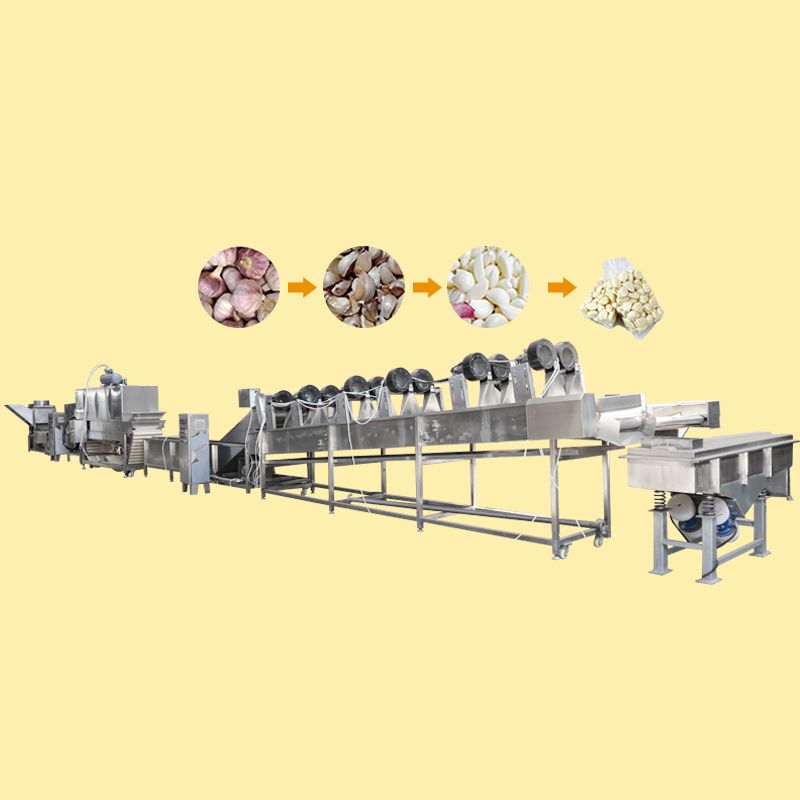 Automatic White Garlic Peeler Machine for Garlic Peeling Production Line