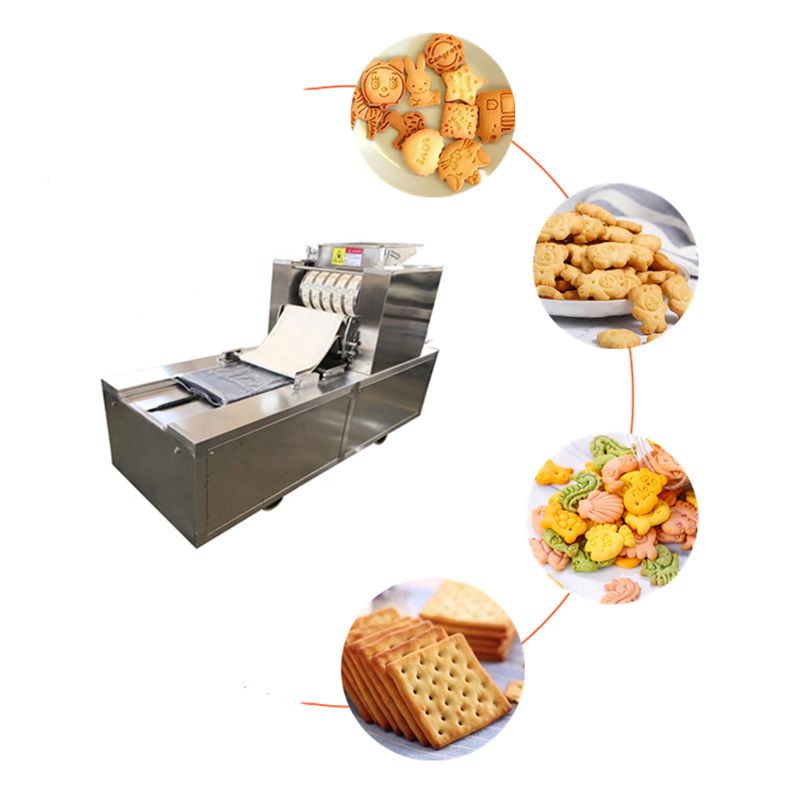 Automated Walnut Biscuit