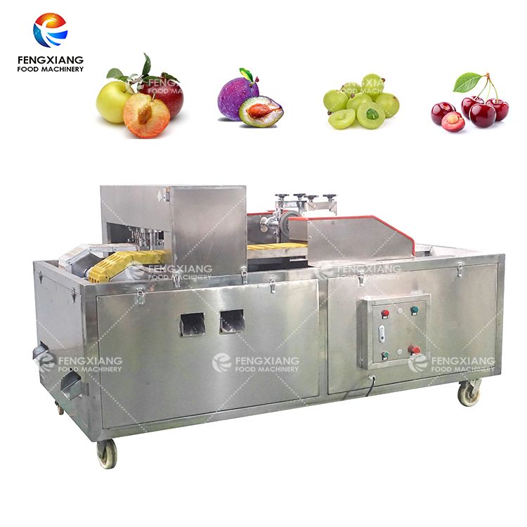 Automatic Avocado and Peach Stone Remover Machine