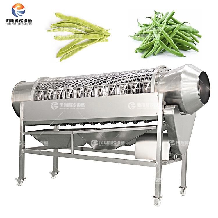 Green Bean Cutting Machine for Vegetable Processing Factory