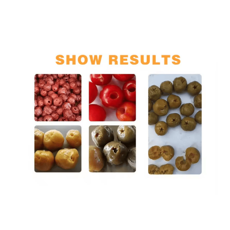 Heavy-Duty Cherry Pitting Equipment for Enterprises