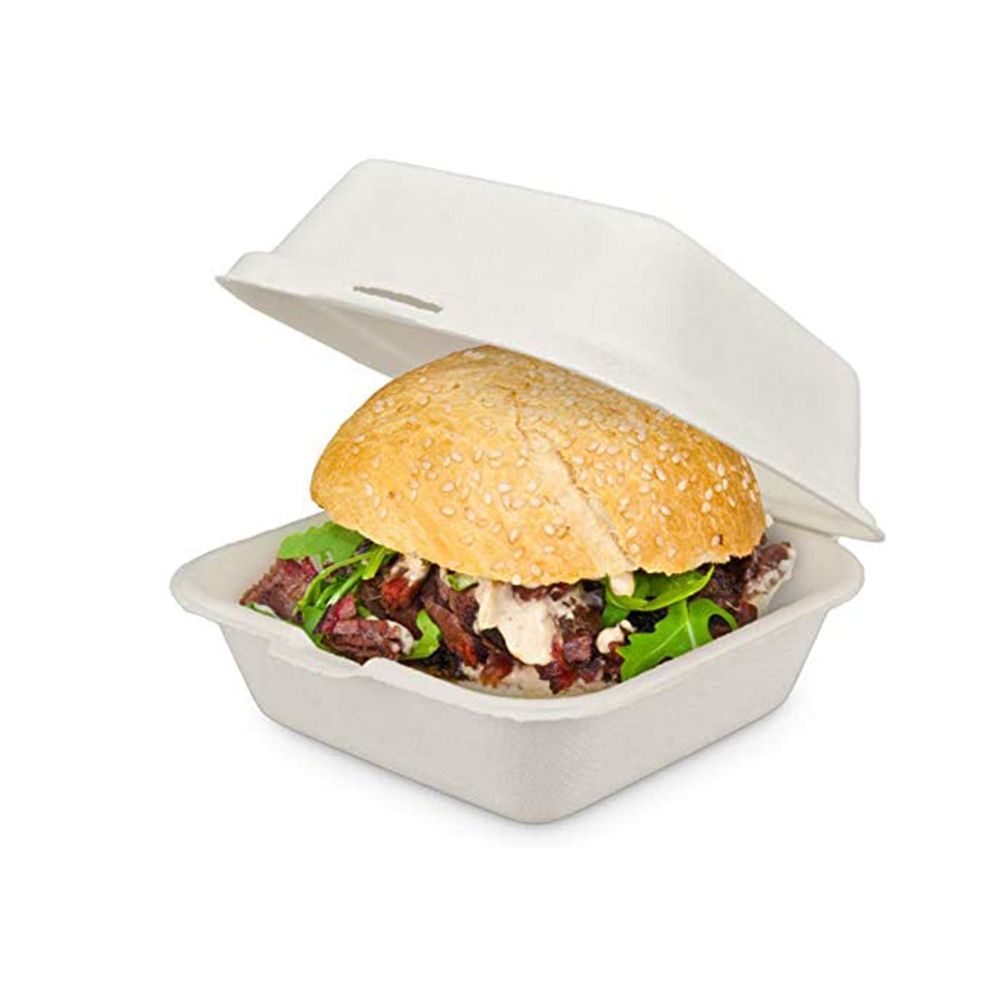 Biodegradable Food Packaging for Lunch Cakes and Burger Boxes